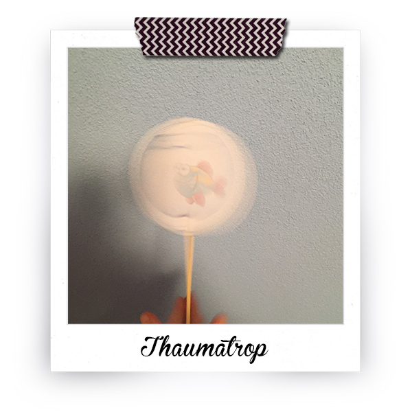 Bluebumblebee | Kurz Knapp Kreativ | Thaumatrop | Polaroid
